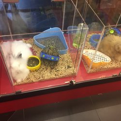 pet lover centre kembangan
