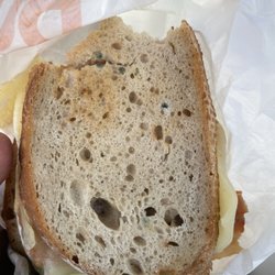 Dunkin' - Mold