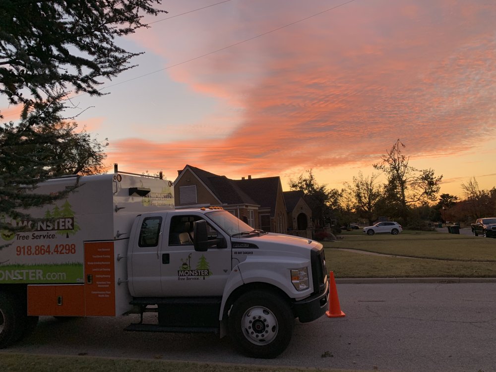 Monster Tree Service - tree service in Tulsa, OK