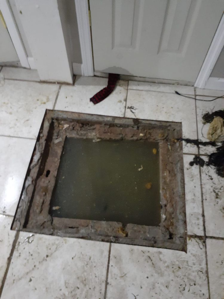 Slide of RooterMan Long Island