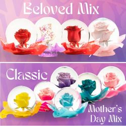 Taylor's Flower Shop - Authentic, preserved rose in a 6.5" in glass globe. This beautiful tabletop gift will radiate love and appreciation.