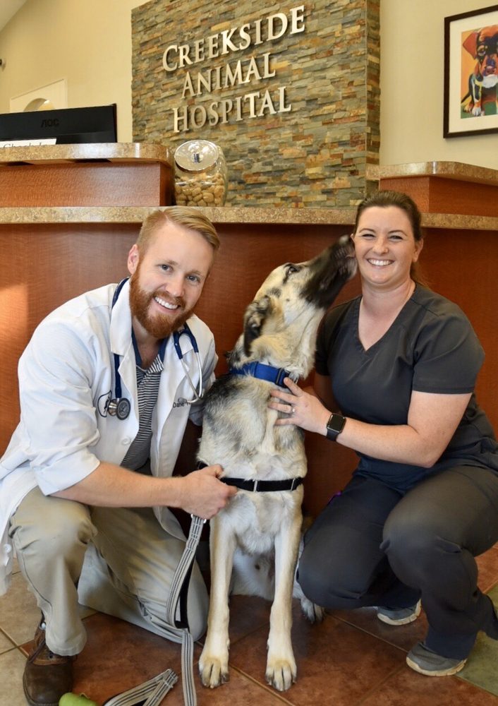 CREEKSIDE ANIMAL HOSPITAL 11 Reviews 2580 Freedom Pkwy, Cumming