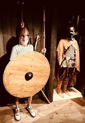 The Viking Museum by null