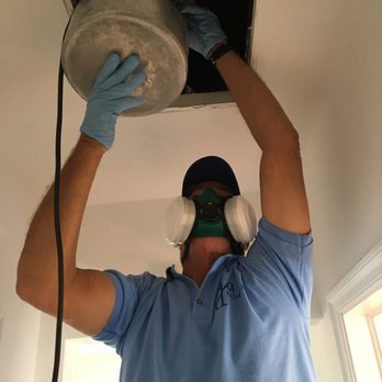 Ya!Pest Control Services - Pest Control Near Me - Miami, Florida