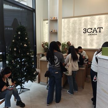 3CAT Handcrafted Beverage - Bubble Tea Near Me - Arcadia, California