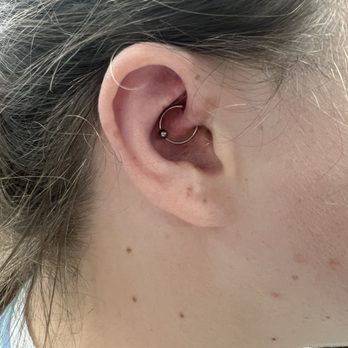 Elysium Body Enhancements - Daith piercing - Tattoo Near Me - Powell, Ohio Elysium Body Enhancements - Daith piercing - Tattoo Near Me - Powell, Ohio