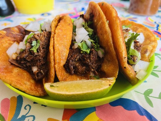 Chofi Birria by null