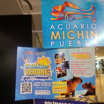 Parque Puebla - Shopping Centers Near Me - Puebla, PUE