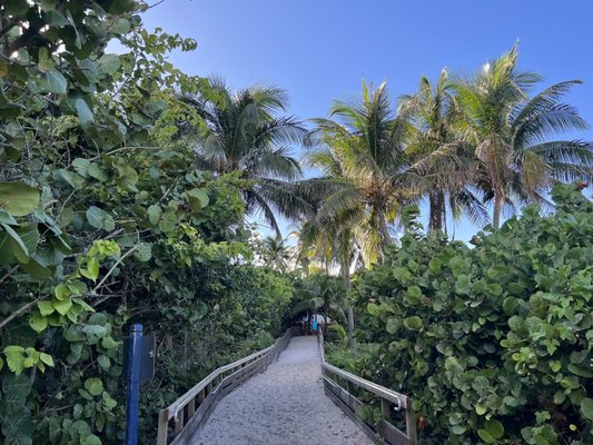 Ocean Reef Park by null