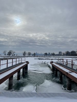 Montrose Point Bird Sanctuary by null