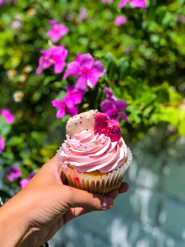 LITTLE WHITE HOUSE SUBS 47 Photos & 58 Reviews 218 Whitehead St