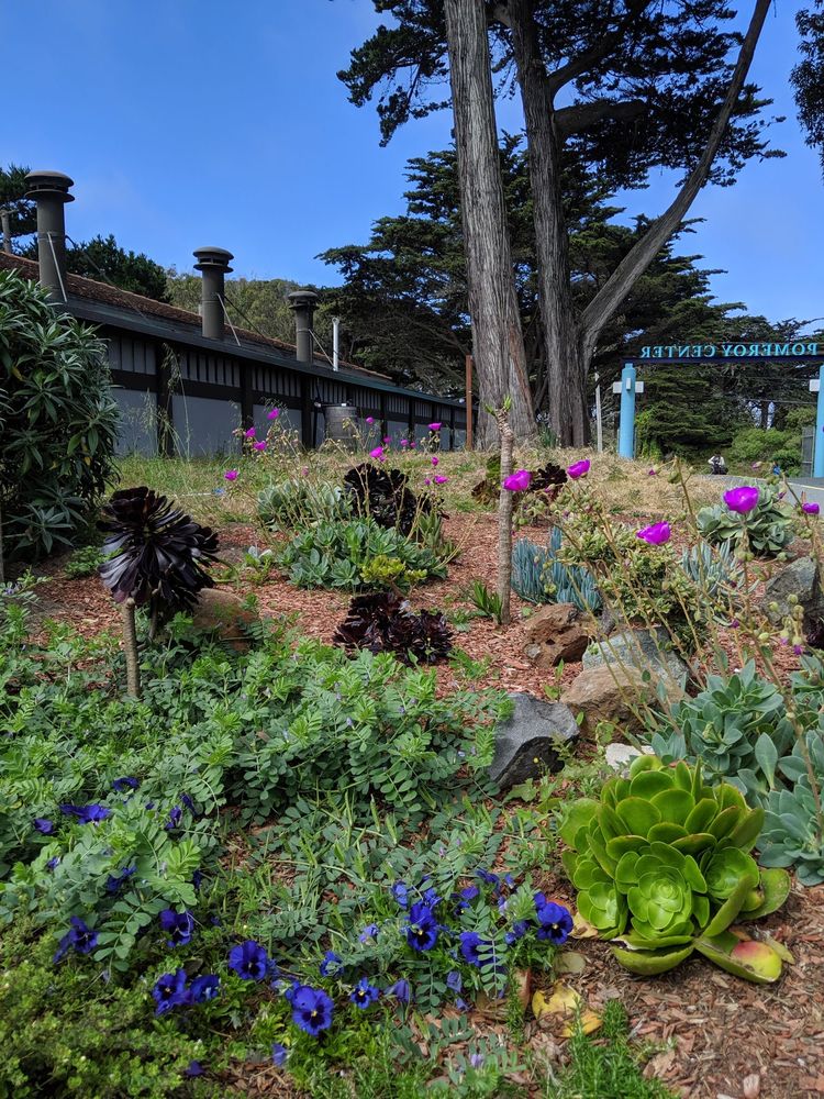 POMEROY RECREATION AND REHABILITATION POOL 30 Photos & 69 Reviews