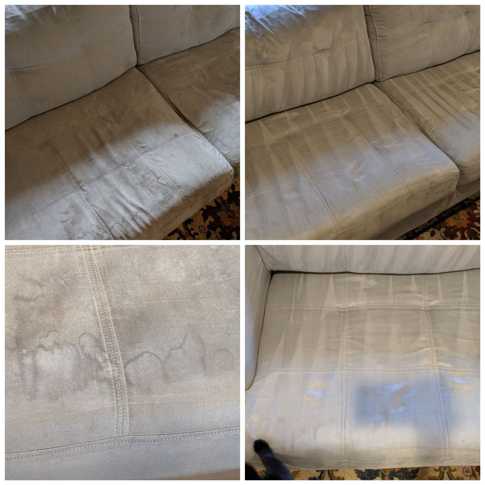 DAISY FRESH CARPET & UPHOLSTERY CLEANING Updated October 2024 10