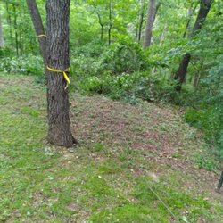 Berryville Lawn Care and Landscaping - Cleaning this land out