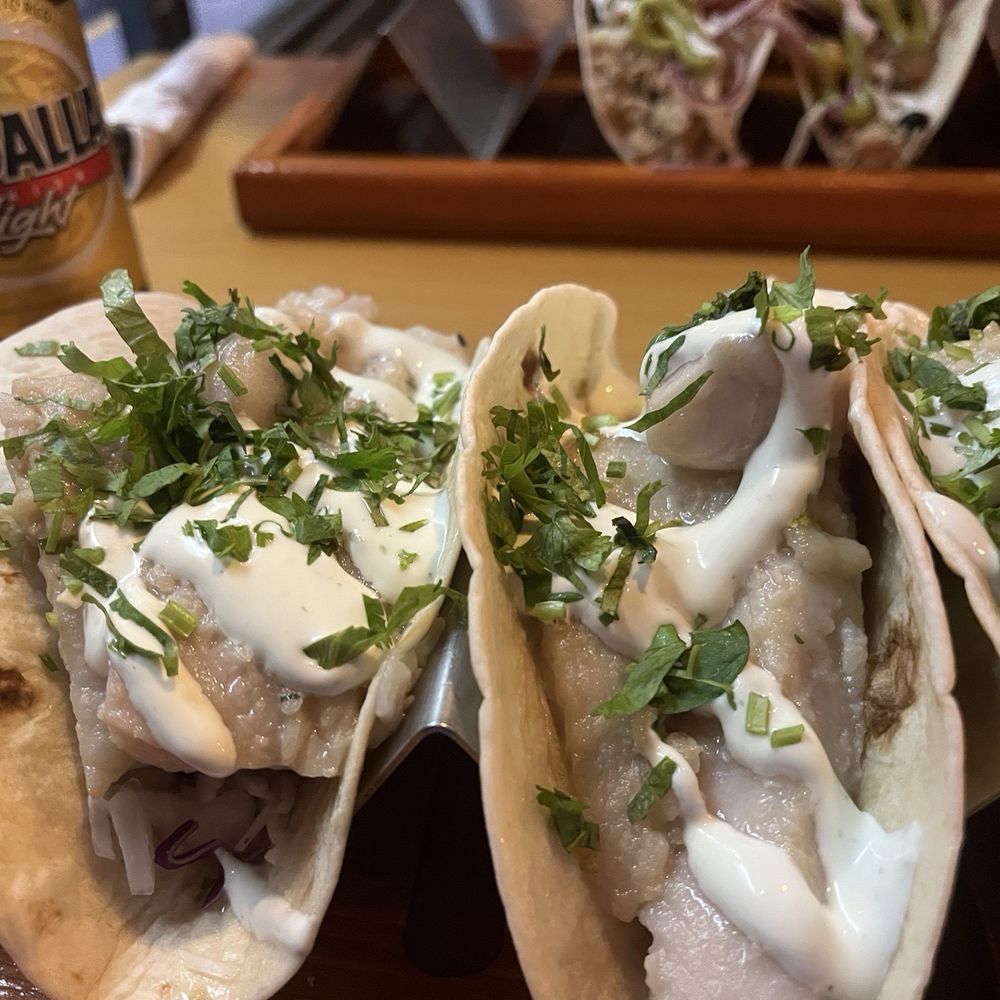 Panucho's - Grilled Grouper Tacos, flour tortillas with all of the fixings - Mexican Near Me - San Juan, Puerto Rico Panucho's - Grilled Grouper Tacos, flour tortillas with all of the fixings - Mexican Near Me - San Juan, Puerto Rico