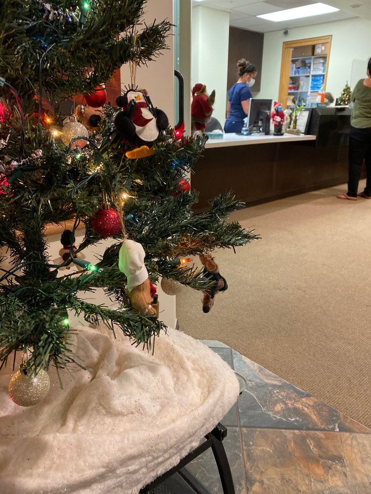 ENDODONTIC ASSOCIATES Updated July 2024 20 Reviews 1441 Kapiolani