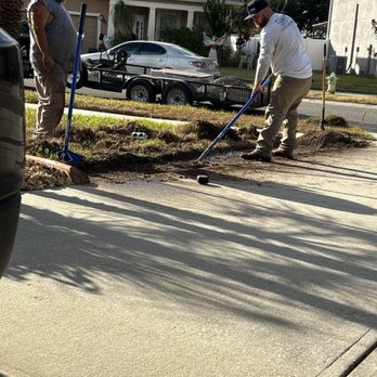 Tampa Premier Landscaping - Landscaping Near Me Tampa Premier Landscaping - Landscaping Near Me