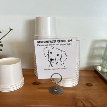 HomeState - Pets are encouraged! - Tacos Near Me - Oceanside, California HomeState - Pets are encouraged! - Tacos Near Me - Oceanside, California