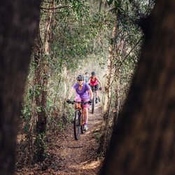 Mount Dora Bike Trail