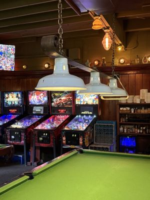 McMenamins Anderson School by null