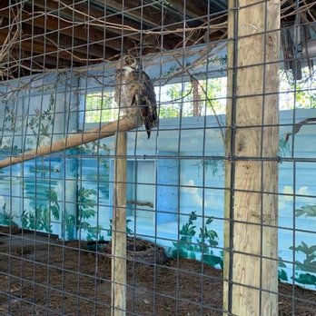 Gatorland - Zoos Near Me - Orlando, Florida