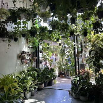 DNA Plants - Nurseries & Gardening Near Me - San Diego, California