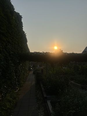 Big Delicious Planet by null