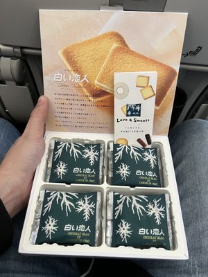 ZIPAIR Tokyo by null