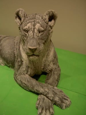 Hammer Museum by null Hammer Museum by null