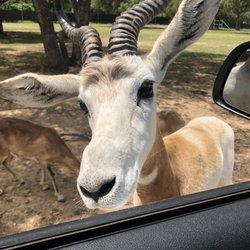 Hatari Wildlife Park