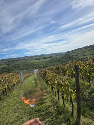 La Cantinetta Di Rignana by null