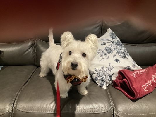 Cropper Veterinary Service