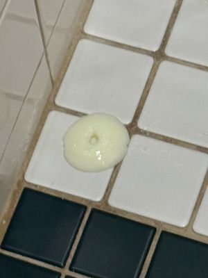 Eden House Key West by null