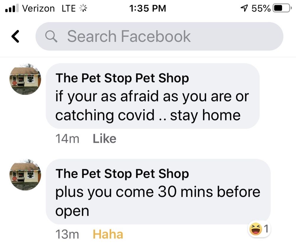 THE PET STOP Updated September 2024 11 Reviews 5152 Rt 9W