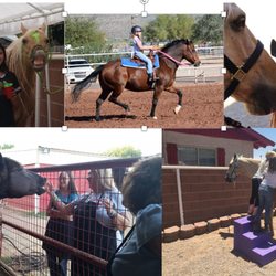 Kira's Dream Horses - Fun at Kira's