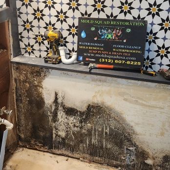 Mold Squad Restoration & Contracting - Damage Restoration Near Me - Wilmington, Illinois Mold Squad Restoration & Contracting - Damage Restoration Near Me - Wilmington, Illinois