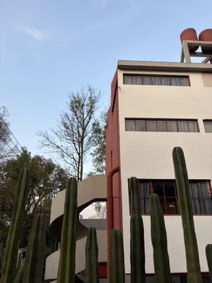 Museo Casa Estudio Diego Rivera y Frida Kahlo by null