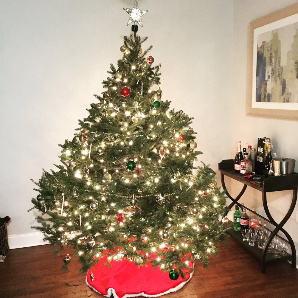 CEDAR GROVE CHRISTMAS TREES Updated September 2024 11 Photos & 21 Reviews 54 Pompton Ave