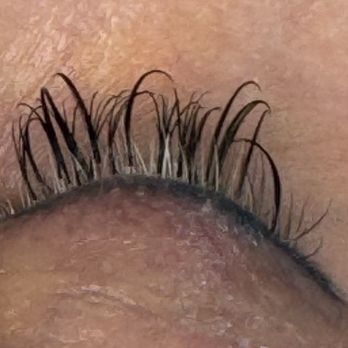Vegas Lash Lounge - Less than a week - Eyelash Service Near Me - Las Vegas, Nevada