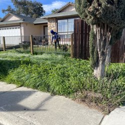 Early start on Spring Cleanup, Weeds Removal:)!!!