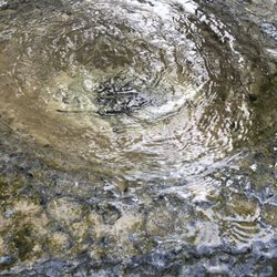 Kurgarten - ... Wasserspiele ...