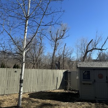 Jose’s Landscape - Landscaping Near Me