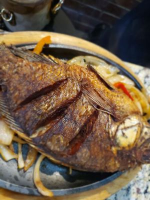 Tequila Bar & Grill by null