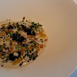 Restaurant Fred - Coquille, ganzenlever, truffel, hazelnoot. / Scallops, foie gras, truffle, hazelnut. 2023 05 01. M2.