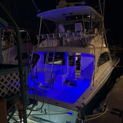 Aloha Charters