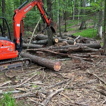 Amazonia Land Management & Tree Service - Tree Services Near Me Amazonia Land Management & Tree Service - Tree Services Near Me