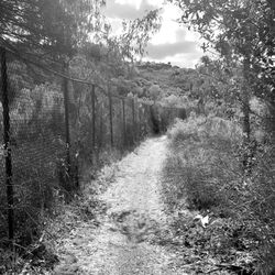 Del Dios Gorge Trail - West part of trail (along the Crosby)