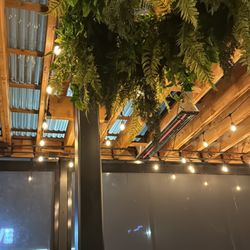 Trading Post Eatery - Ferns