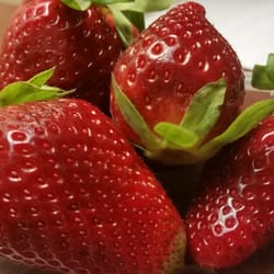 Yes! Organic Market - Organic strawberries for $2.99!