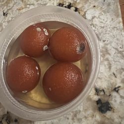 Tikka Express - Moldy Gulab Jamun. Totally unnacceptable, disgusting and clearly a food safety issue.